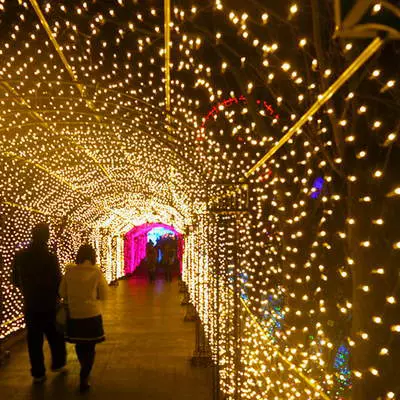 Shree Balaji Lights